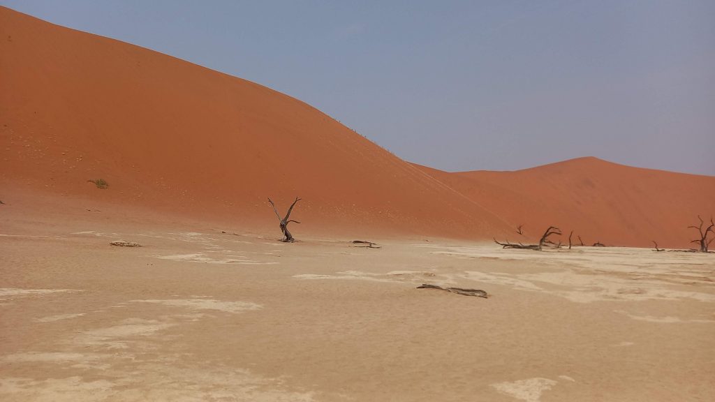 Dead tree pan in    Sossuvlei in Namib-Naukluft Park